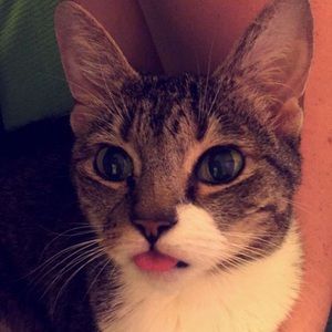 Meet your Posher, Sara